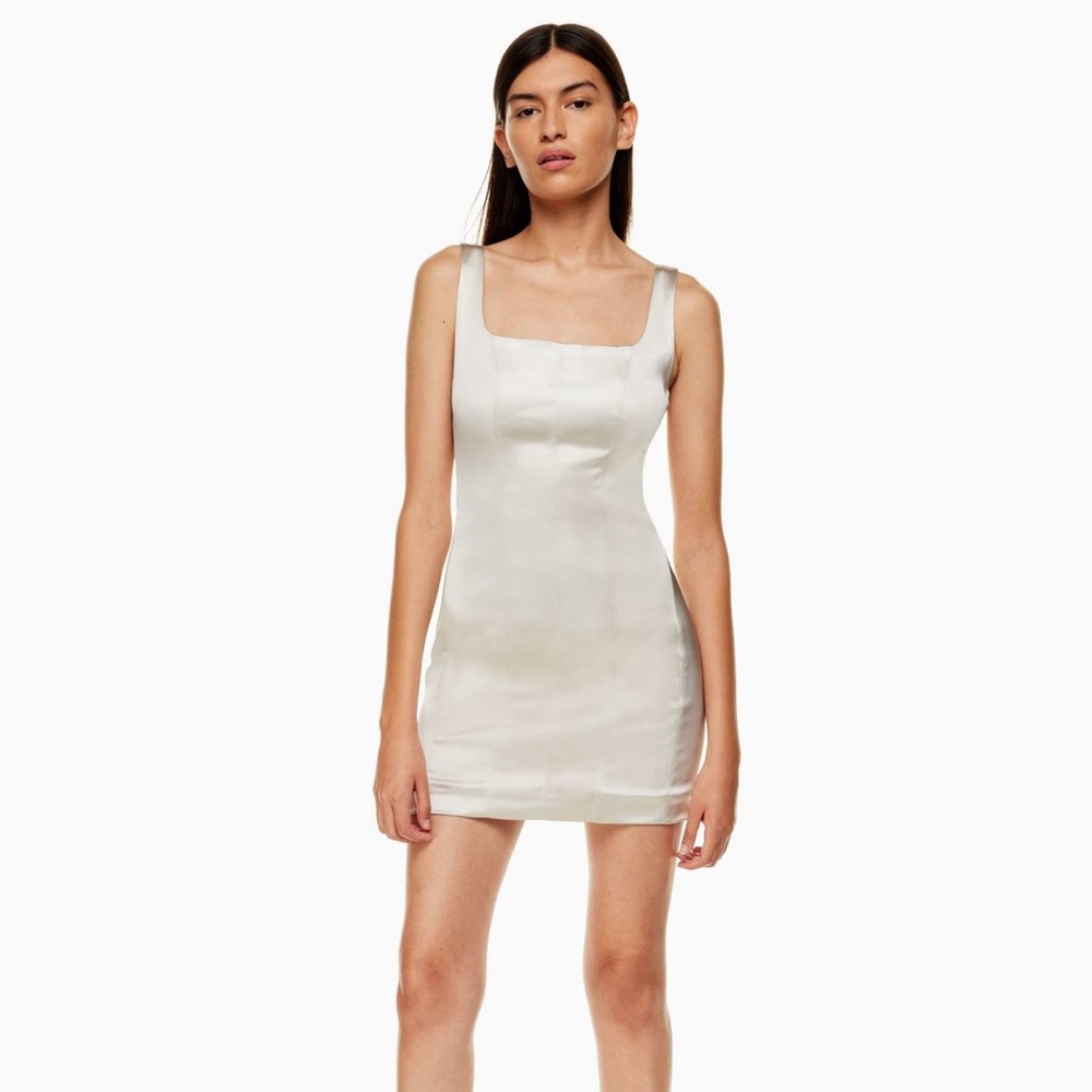 Aritzia’s Ten by Babaton Premiere Dress Birch